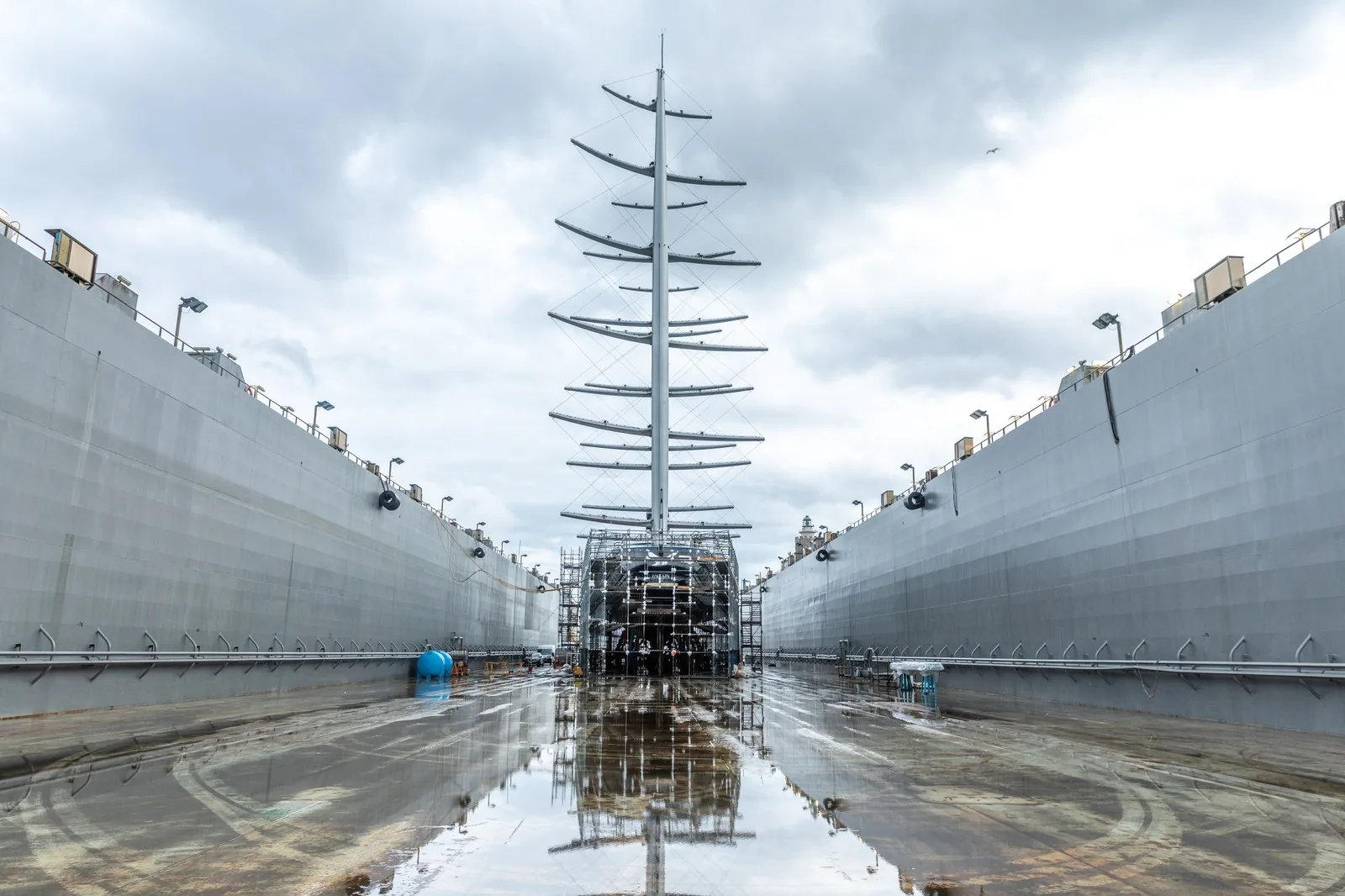 Maltese Falcon 3