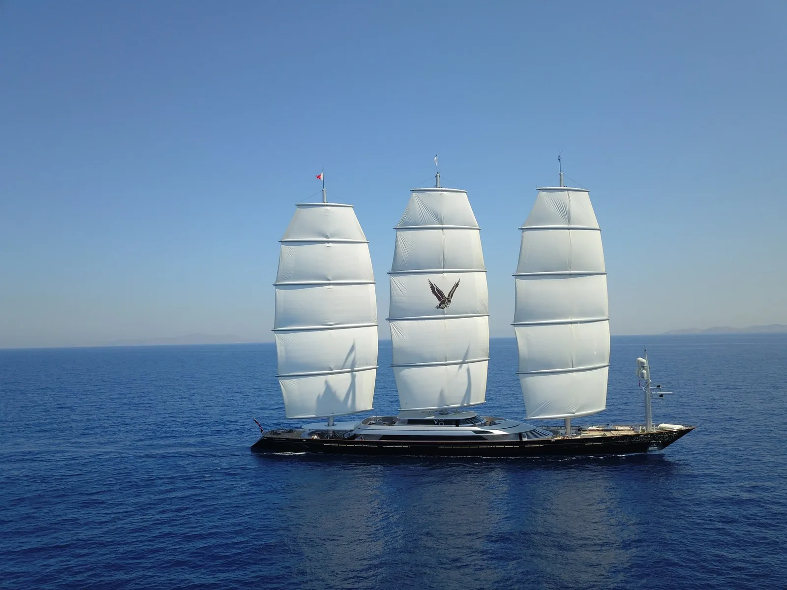 Maltese Falcon 16
