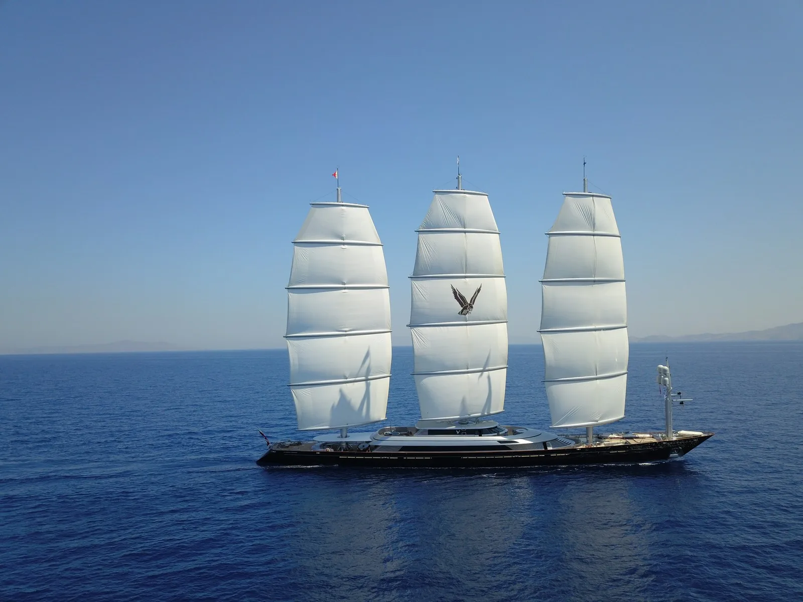 Maltese Falcon 17