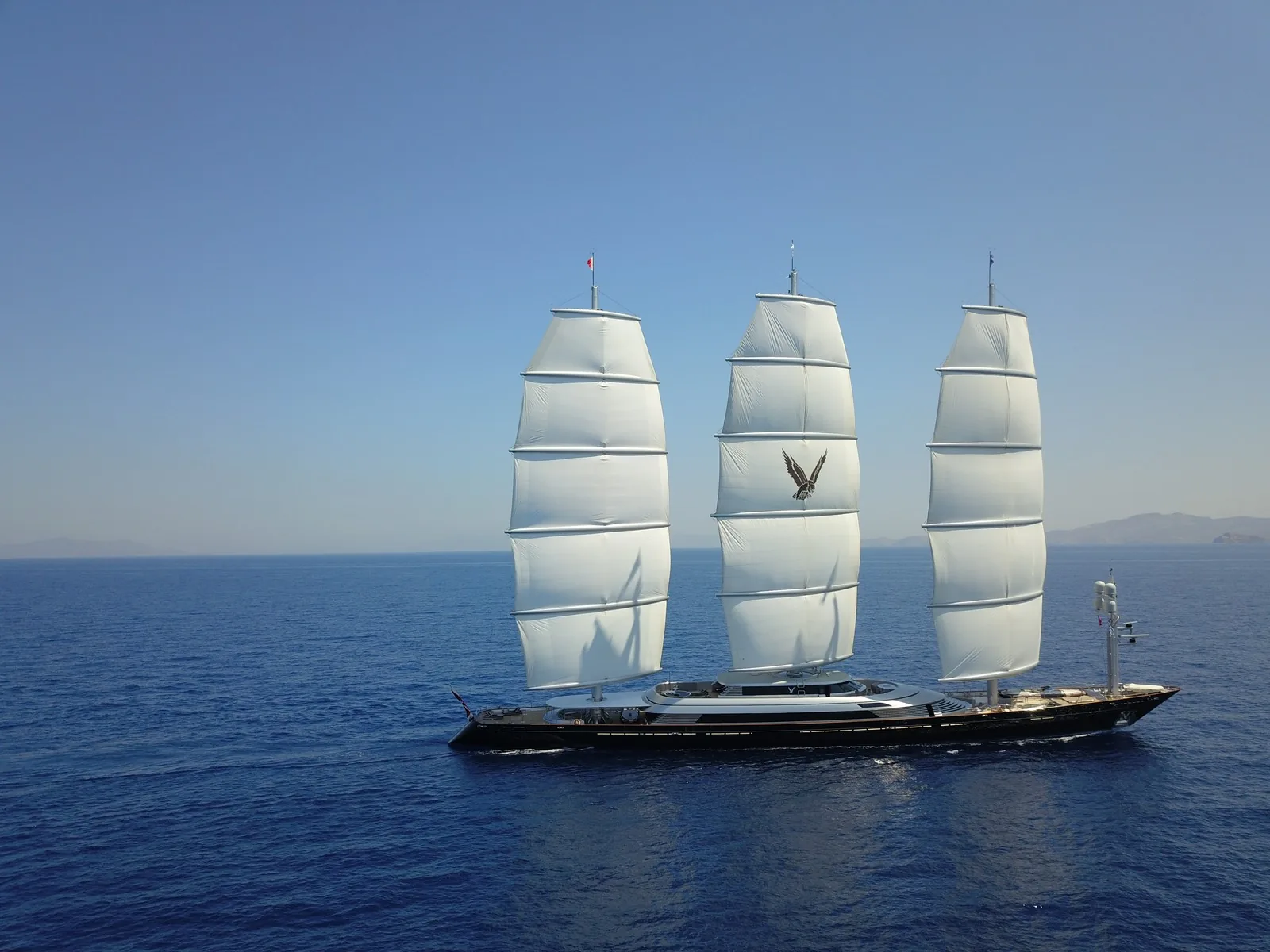 Maltese Falcon 18
