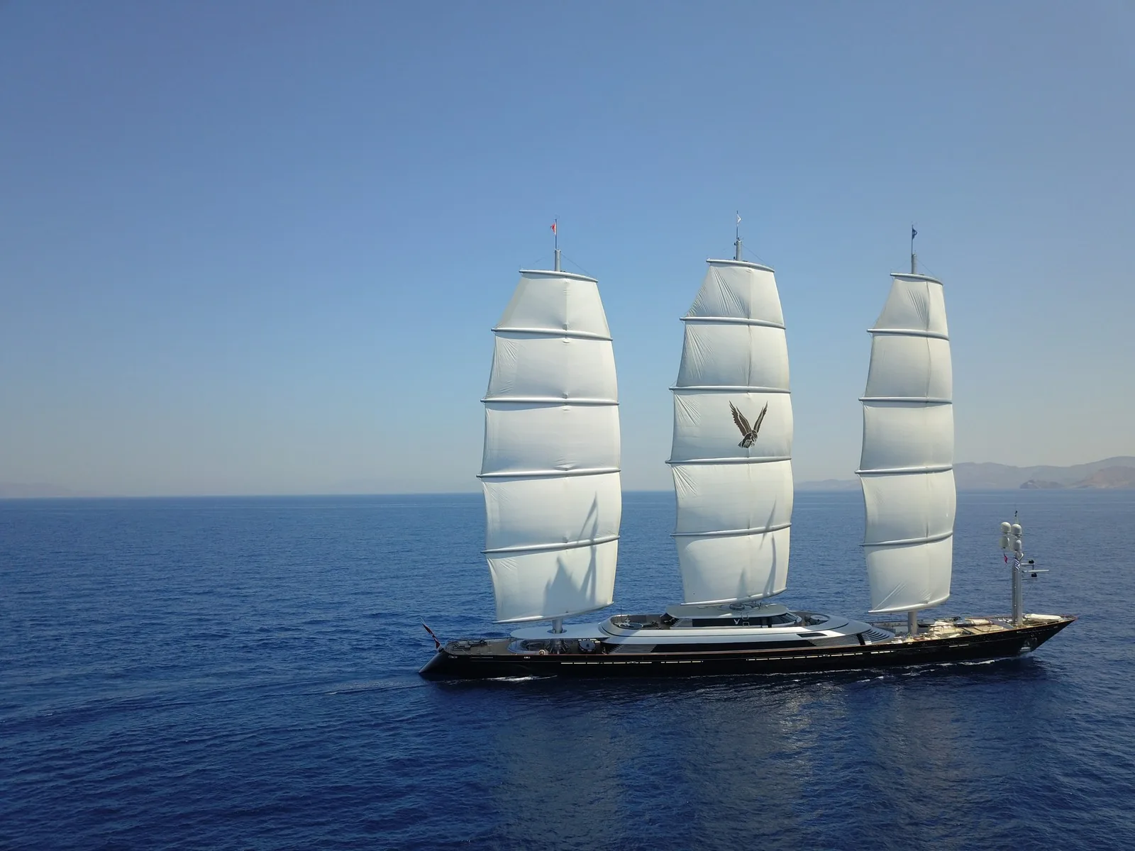 Maltese Falcon 19
