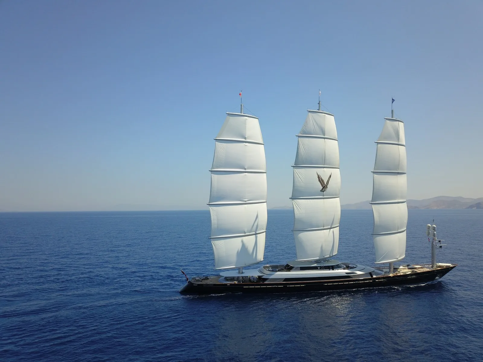 Maltese Falcon 20
