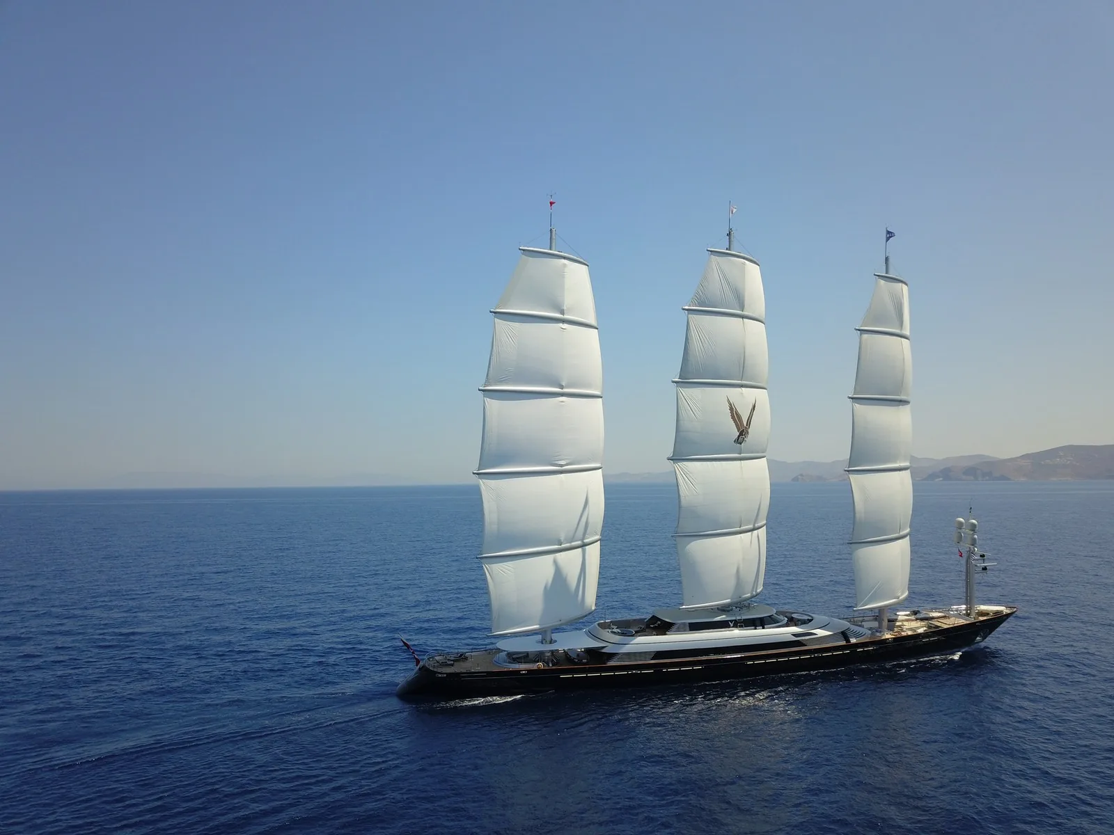 Maltese Falcon 21