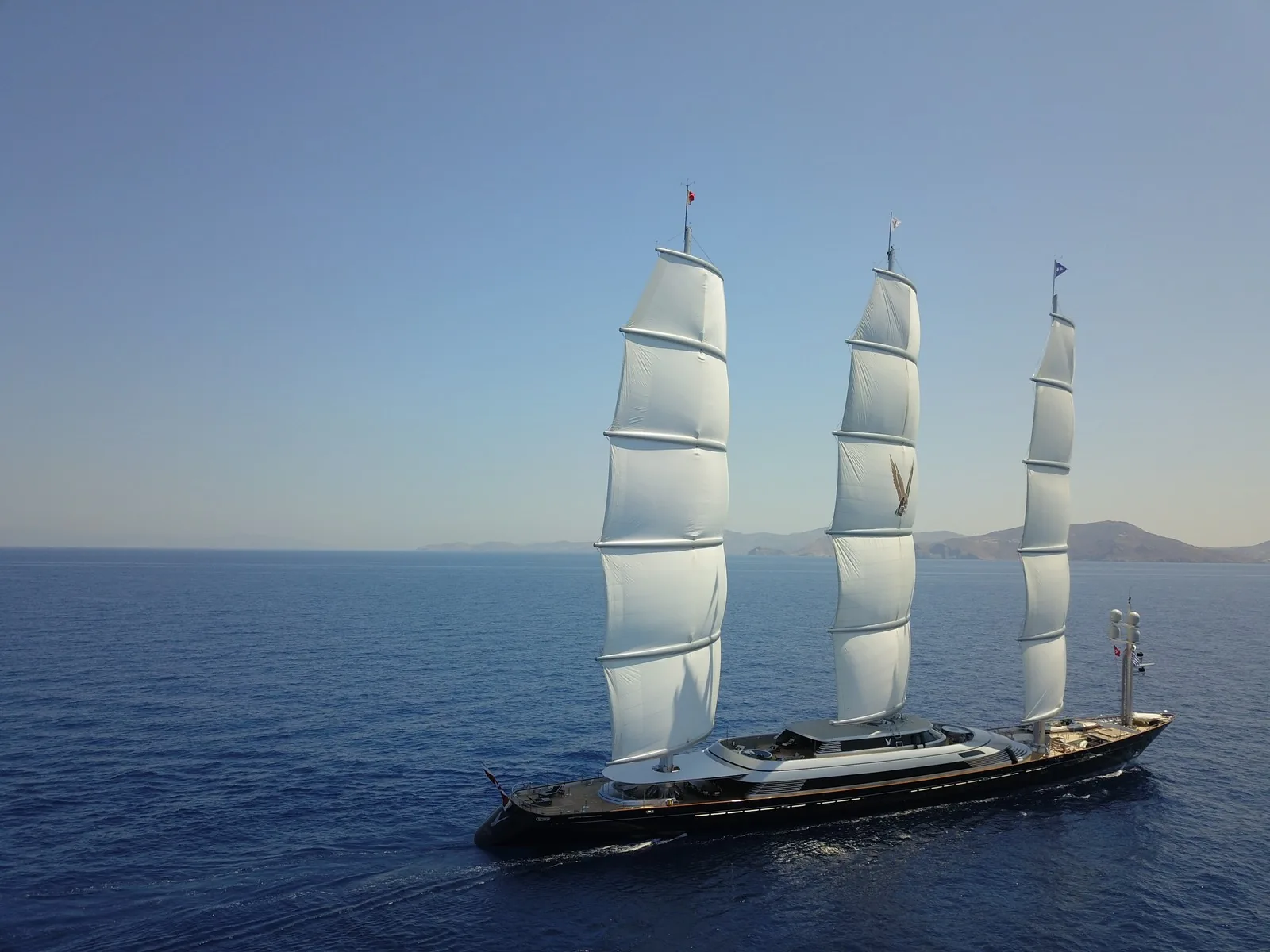 Maltese Falcon 24