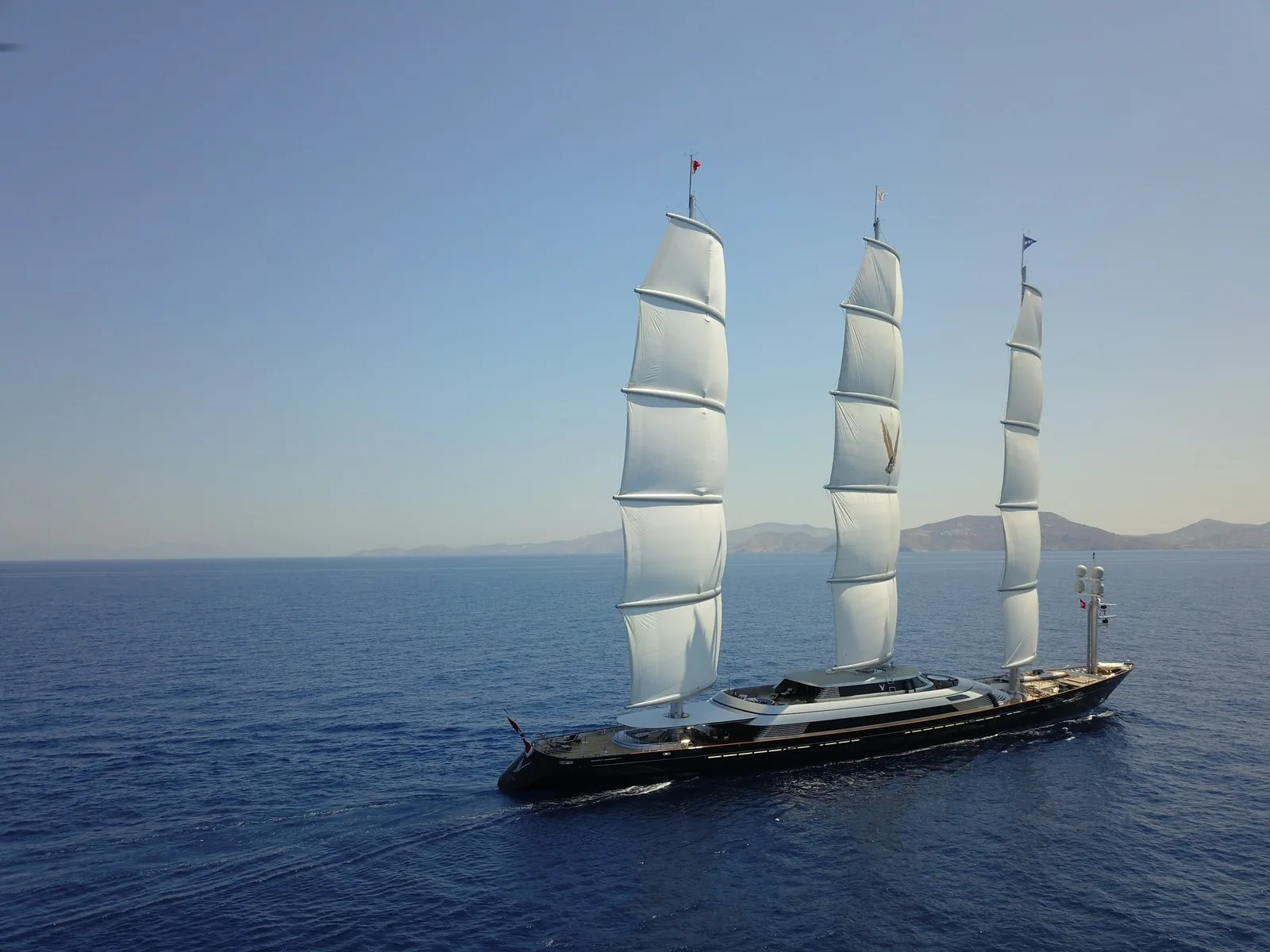 Maltese Falcon 25