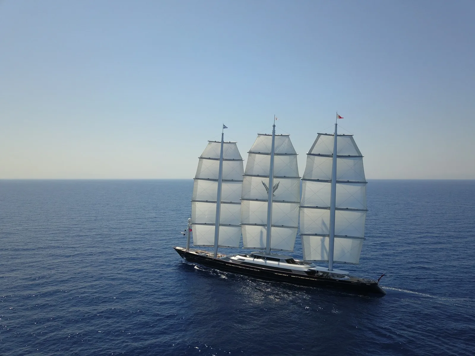 Maltese Falcon 33