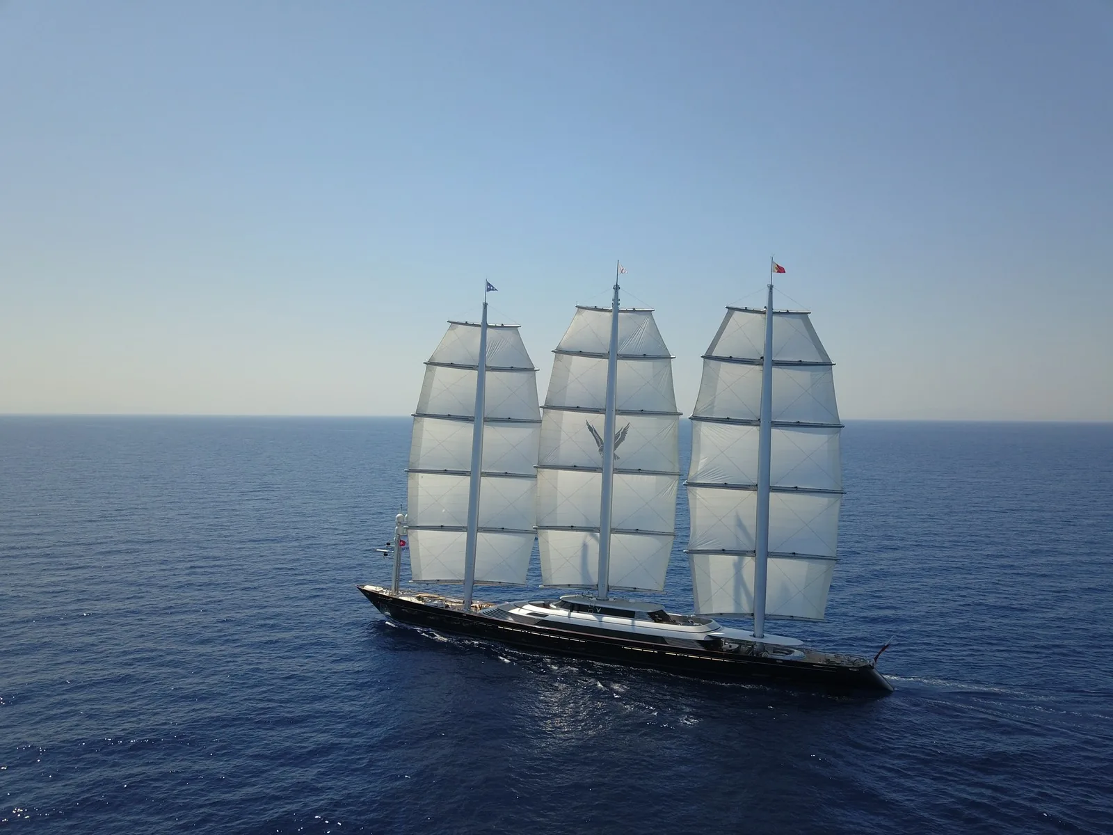 Maltese Falcon 36