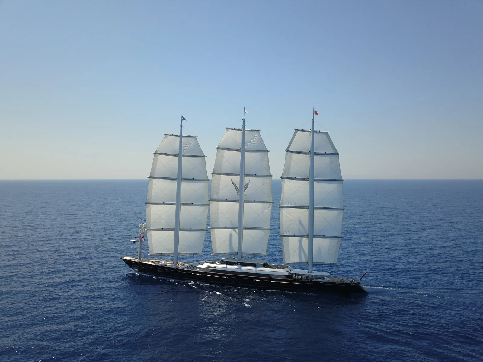 Maltese Falcon 37