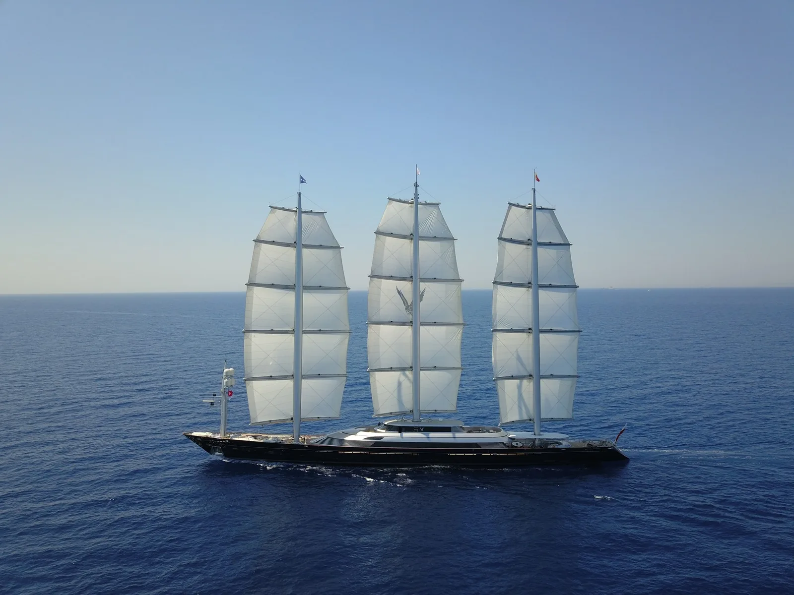 Maltese Falcon 40