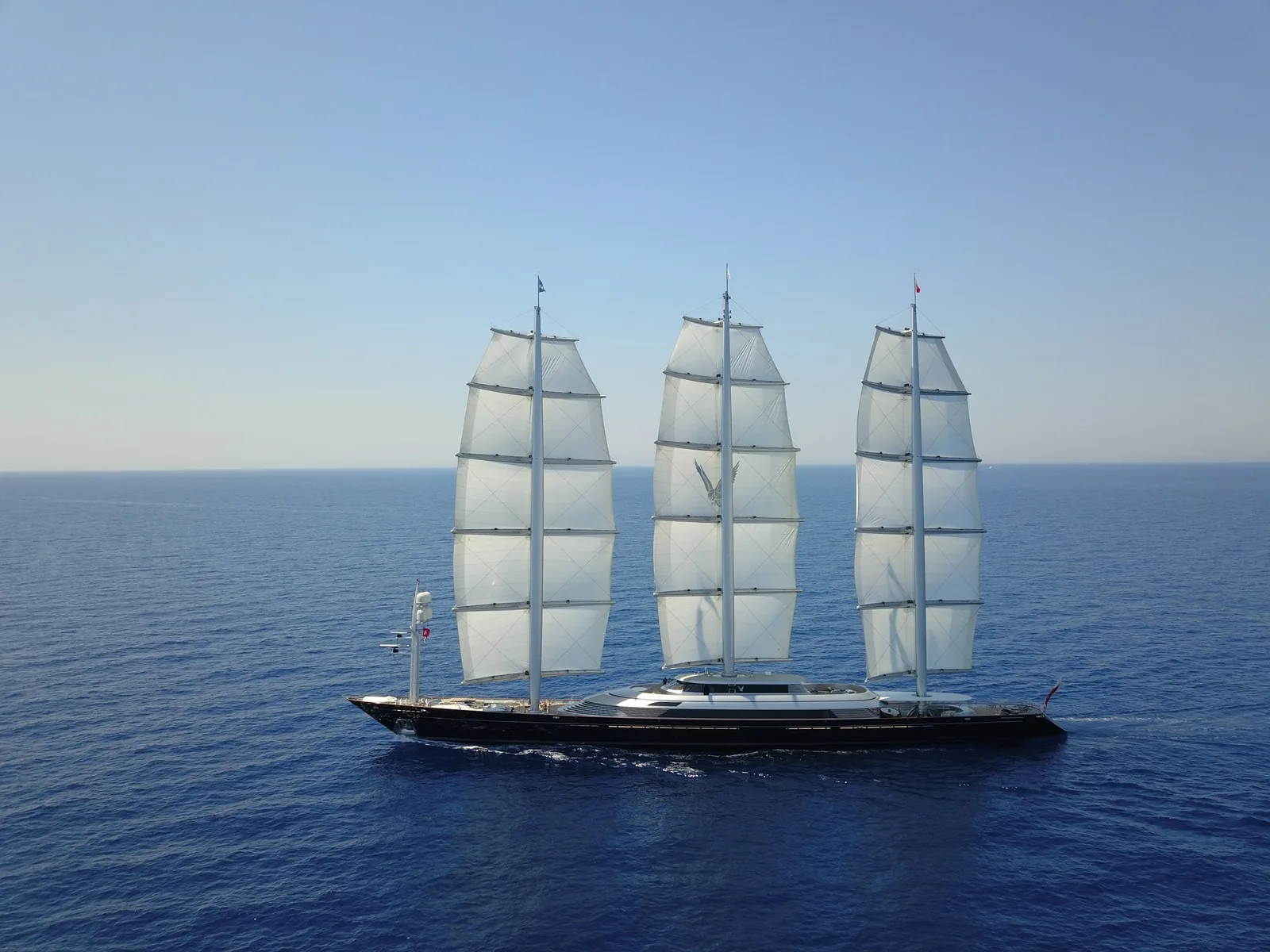 Maltese Falcon 41