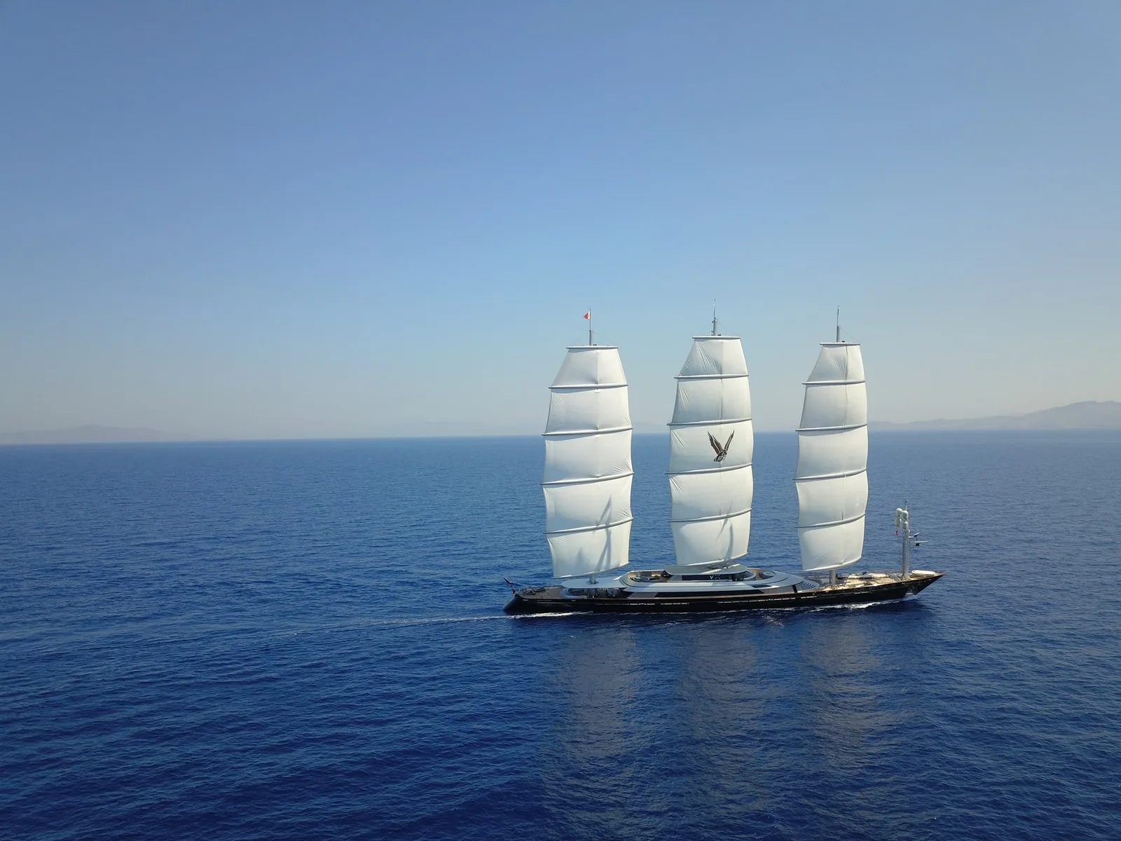Maltese Falcon 42