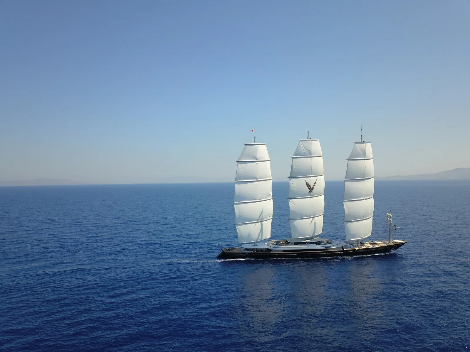 Maltese Falcon 43