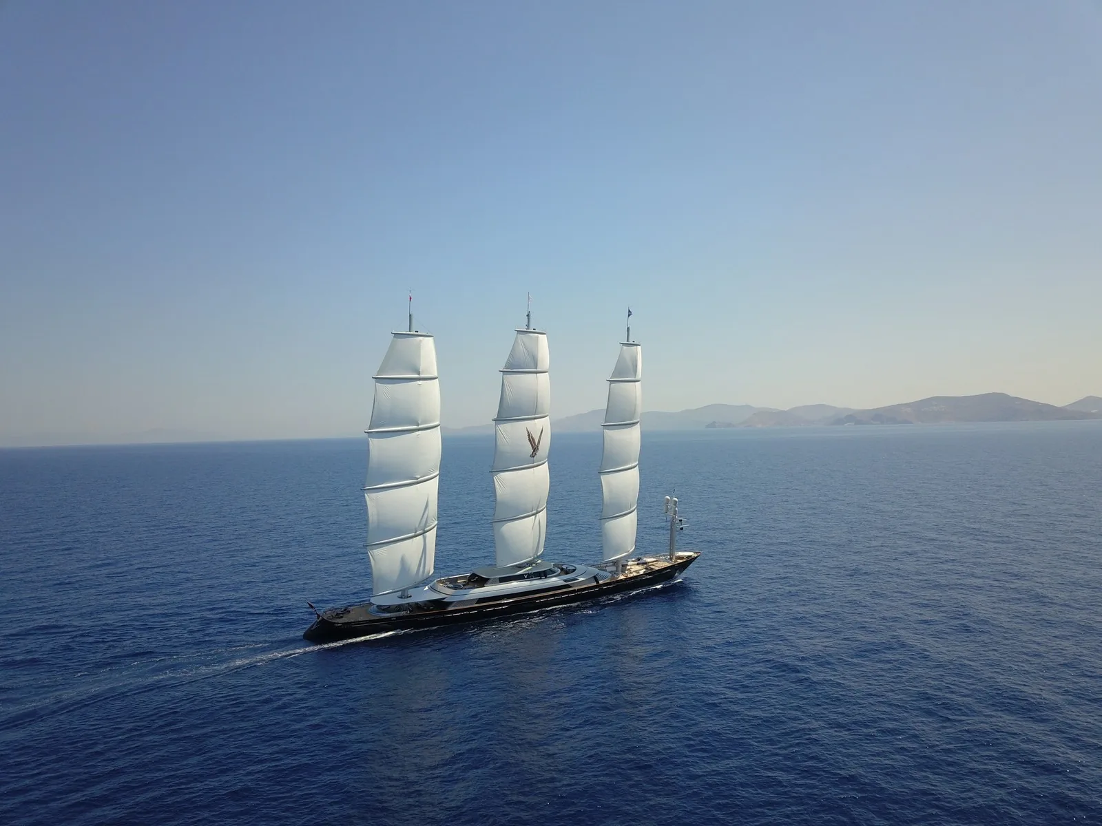 Maltese Falcon 48