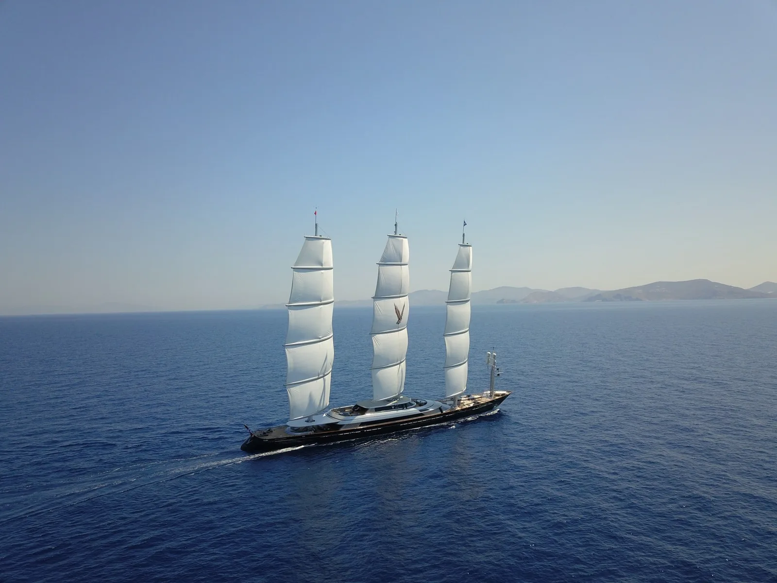 Maltese Falcon 49