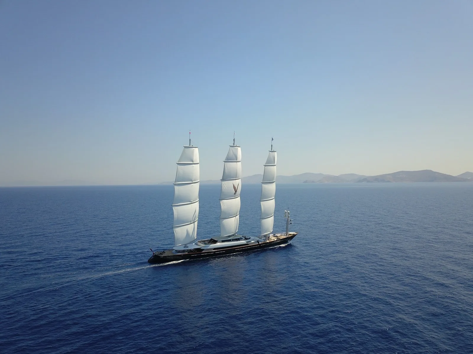 Maltese Falcon 50