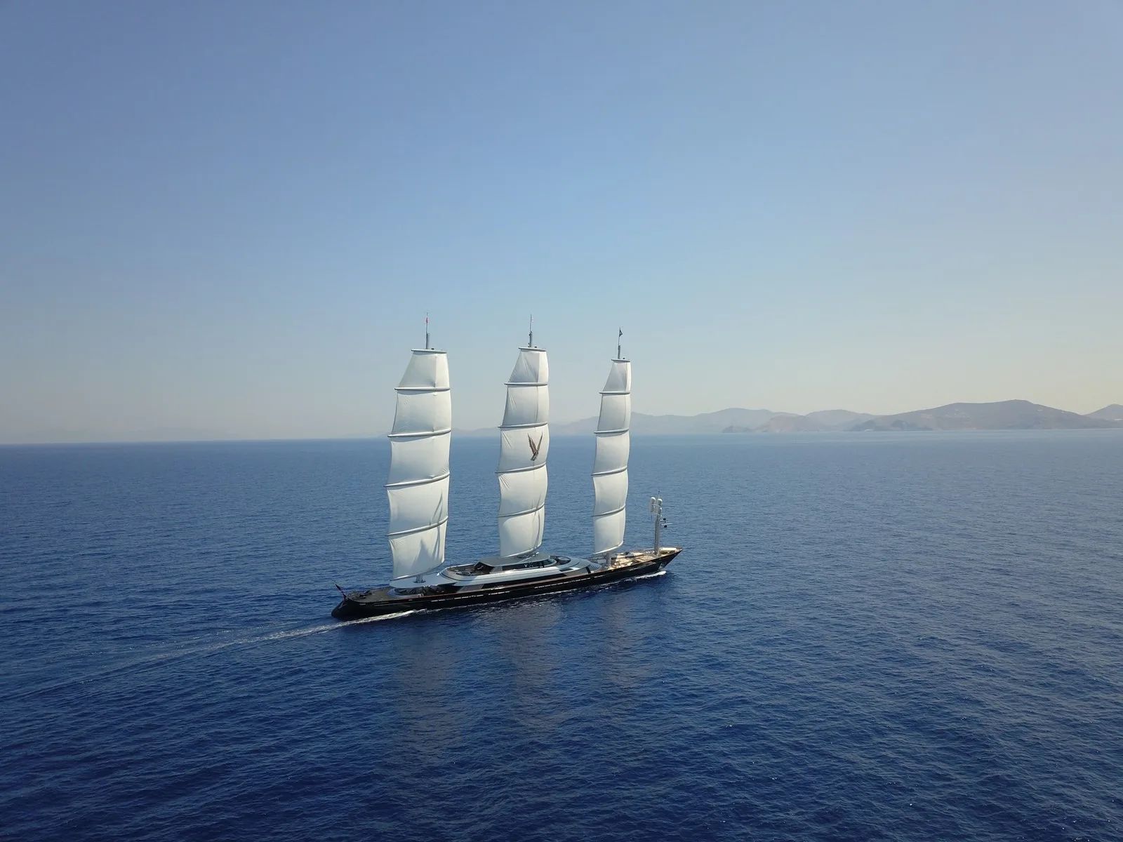 Maltese Falcon 51