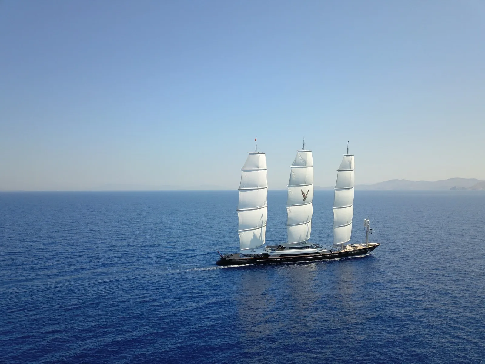 Maltese Falcon 53