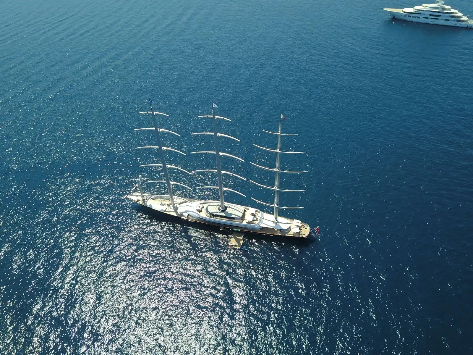Maltese Falcon 56
