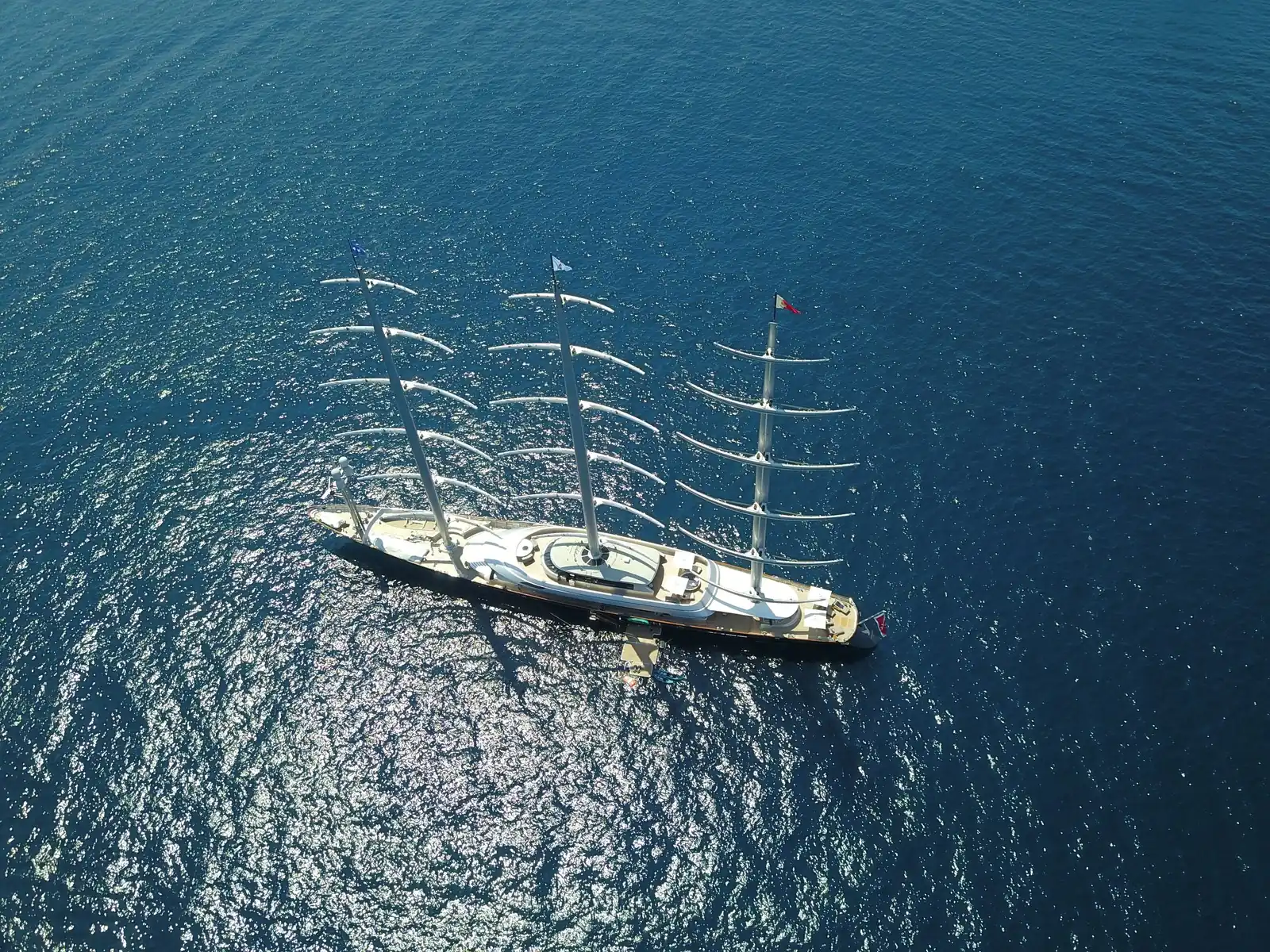 Maltese Falcon 58