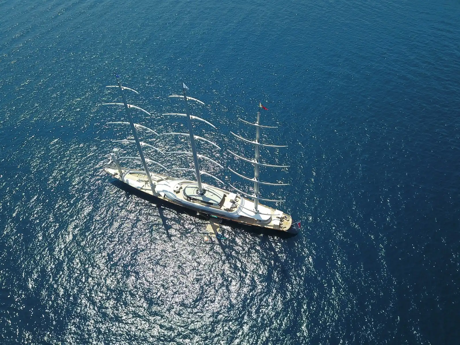 Maltese Falcon 59