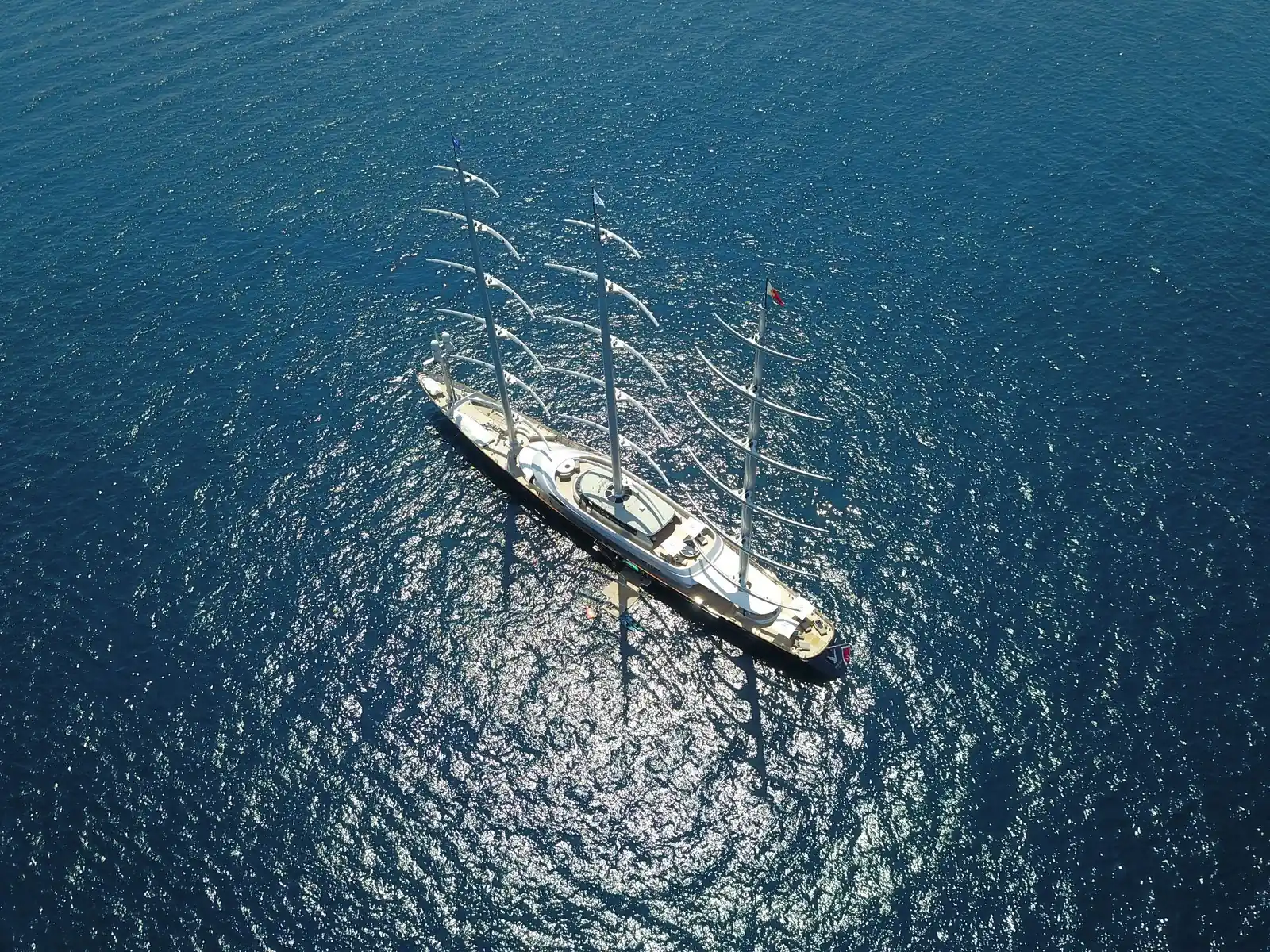 Maltese Falcon 60