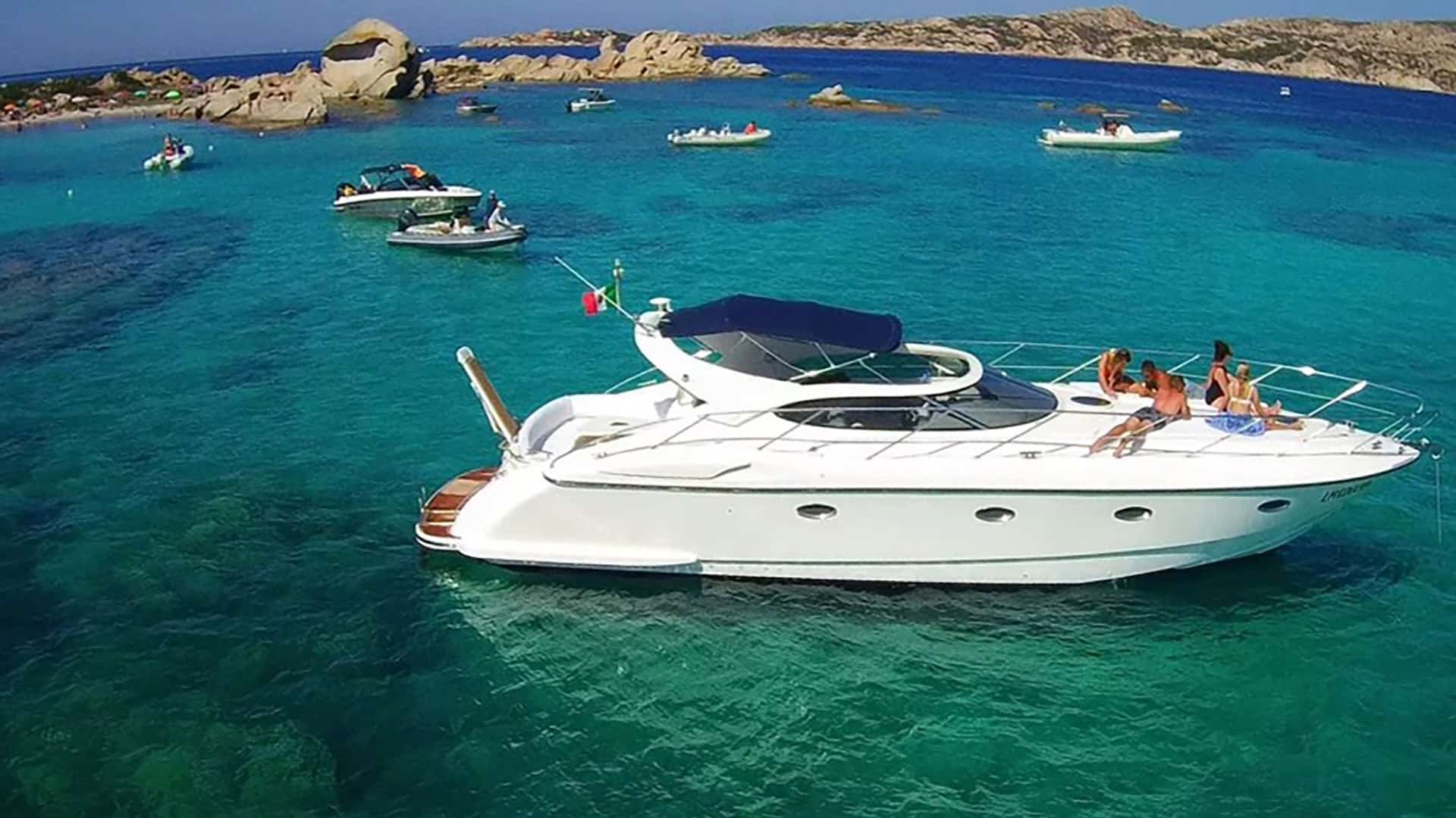 Neptunus Carlton 41